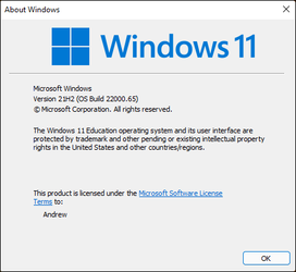 Windows 11 Version.PNG