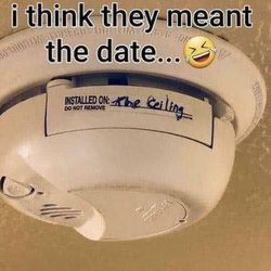 ceiling.jpeg