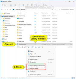 OneDrive_Files_On-Demand_File_Explorer-3.png