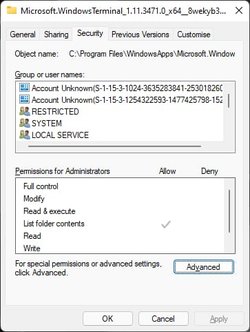 Windows Terminal Security.jpg