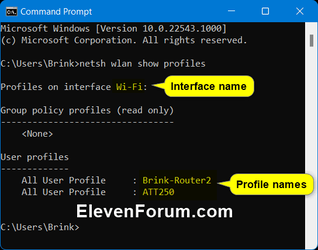 Backup_Wi-Fi_network_profiles.png