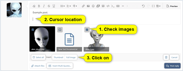 Insert_multiple_images-2.png