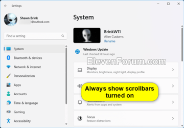 Always_show_scrollbars-on.png