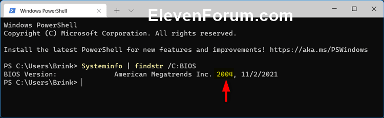BIOS_version_command.png