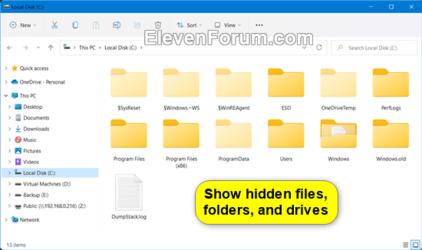 Show_hidden_files_folders_and_drives_File_Explorer.png