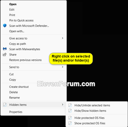 Hidden_items_context_menu_for_files_and_folders.png