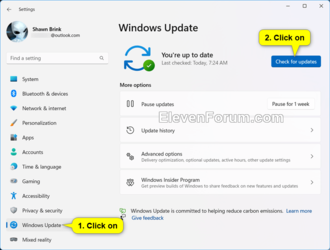 Check_for_updates_Windows11.png