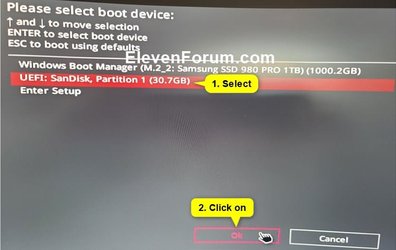 Boot_from_USB_Boot_Menu.jpg