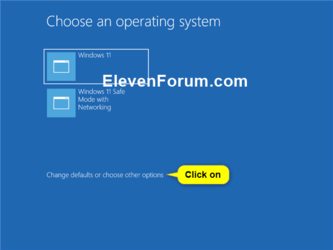 Choose_OS_timeout_boot_options-1.png