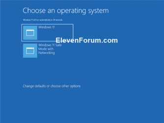 Boot_options_menu.png