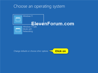 Change_default_OS_boot_options_menu-1.png