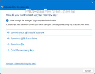 Backup_BitLocker_Recovery_Key-3.png