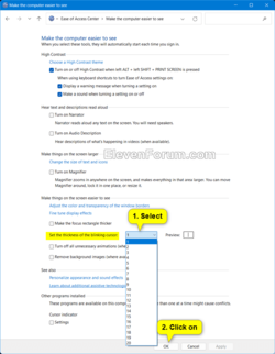 text_cursor_thickness_Control_Panel-2.png