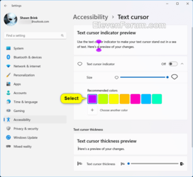 text_cursor_indicator_color_Settings-2.png