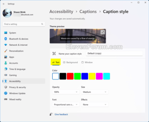 Caption_style_Settings-4.png