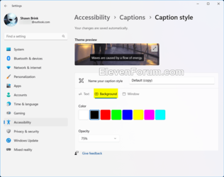 Caption_style_Settings-5.png