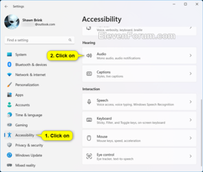 Mono_audio_Settings-3.png