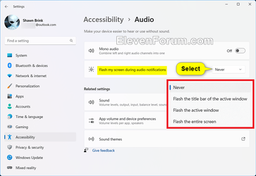 Display_audio_alerts_Settings-2.png