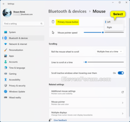 Mouse_primary_button_Settings-2.png