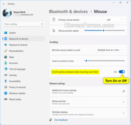 Mouse_scroll_inactive_windows_Settings-2.png