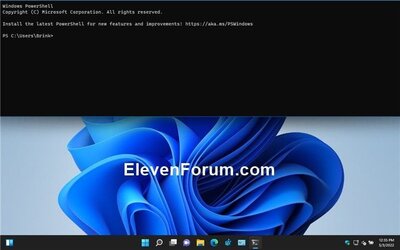 Windows_Terminal_Quake_Mode.jpg