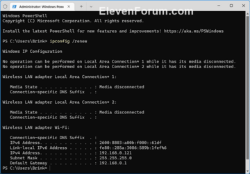 ipconfig_renew.png