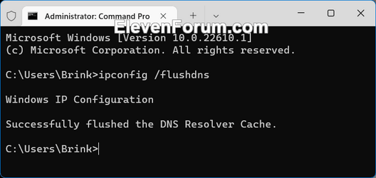 Flush_DNS_command.png