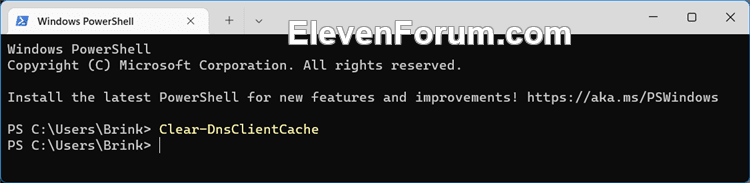 Flush_DNS_PowerShell.png