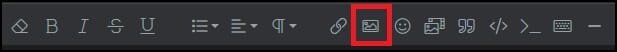 Insert Image button.jpg