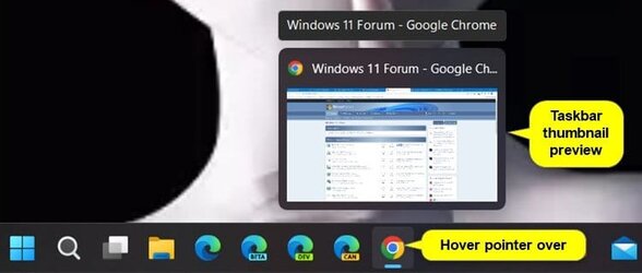 taskbar_thumbnail_preview.jpg