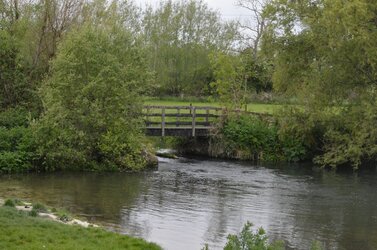 2022-05-13 0241.jpg 2022-05-13 0241.jpg