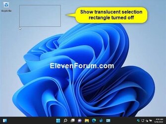 Show_translucent_selection_rectangle_off.jpg