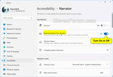 Narrator_shortcut_Settings-2.png