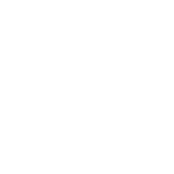 11.png