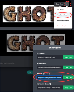 Image4.png