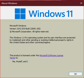 Download: Windows 11 Build 22000.100 ISO Beta Update Released