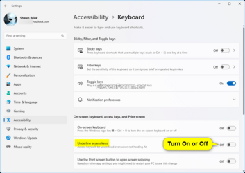Underline_access_keys_Settings-2.png