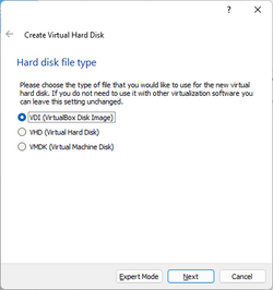VirtualBox -Create VM (disk type).png