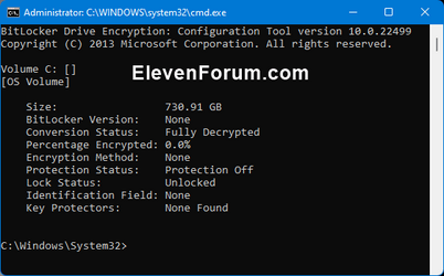 BitLocker_Status-2.png