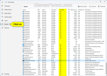 Task_Manager_elevated_process.png