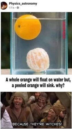 095geZ2.jpeg