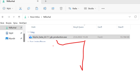 Skjámynd 2022-06-23 160550.png Skjámynd 2022-06-23 160550.png