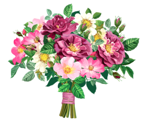 1229cfde30be929c216d88c0a9f64934.png