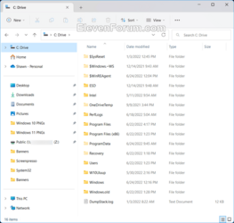 Add_Windows_C_drive_to_top_of_navigation_pane.png