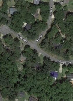 woods.jpg woods.jpg