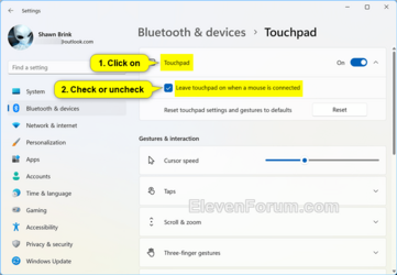 Touchpad_on_when_mouse_connected_settings-2.png