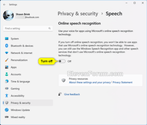 Online_speech_recognition_Settings-2.png