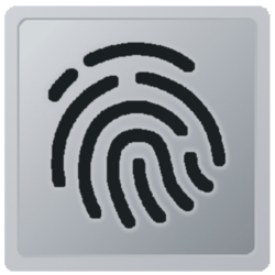 Windows 11 Custom Biometric Devices Icon.png