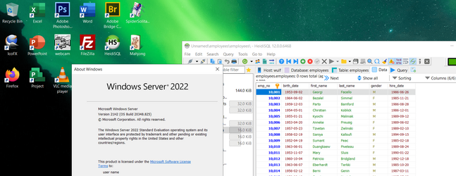 Here's image of 180 day trial Windows 2022 server as desktop OS 