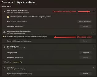 Account Sign-in options.jpg